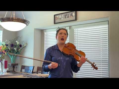 Carl Weimer stamped Violin bow, vintage antique  Violin Bow image 17
