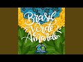 Brasil Verde E Amarelo