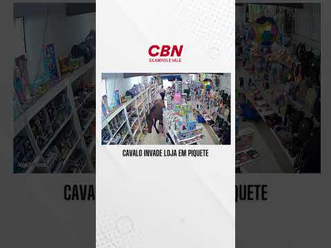 Cavalo invade loja em Piquete