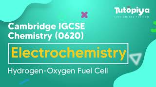 Hydrogen-Oxygen Fuel Cells