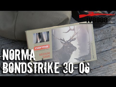 Norma Bondstrike 180gr 30-06
