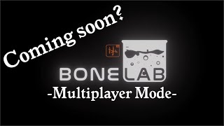 Bonelab Devs hint at multiplayer in their gun range!