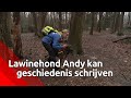 Lawinehond Andy uit Bosschenhoofd kan wereldgeschiedenis schrijven