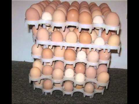 Harvey Milk - Plastic Eggs (Self Titled Version)