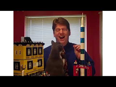 Best funny cat interrupts work from home 2021 compilation