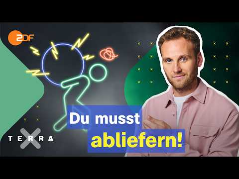 Zu hohe Erwartungen? Ein Gespräch mit Menschen aus der Gen Z | Terra Xplore mit Leon Windscheid