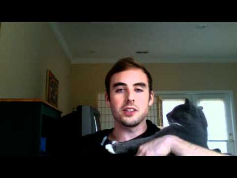 BajheeraVlog - FoA #4 Trailer :) - Streaming Later :D