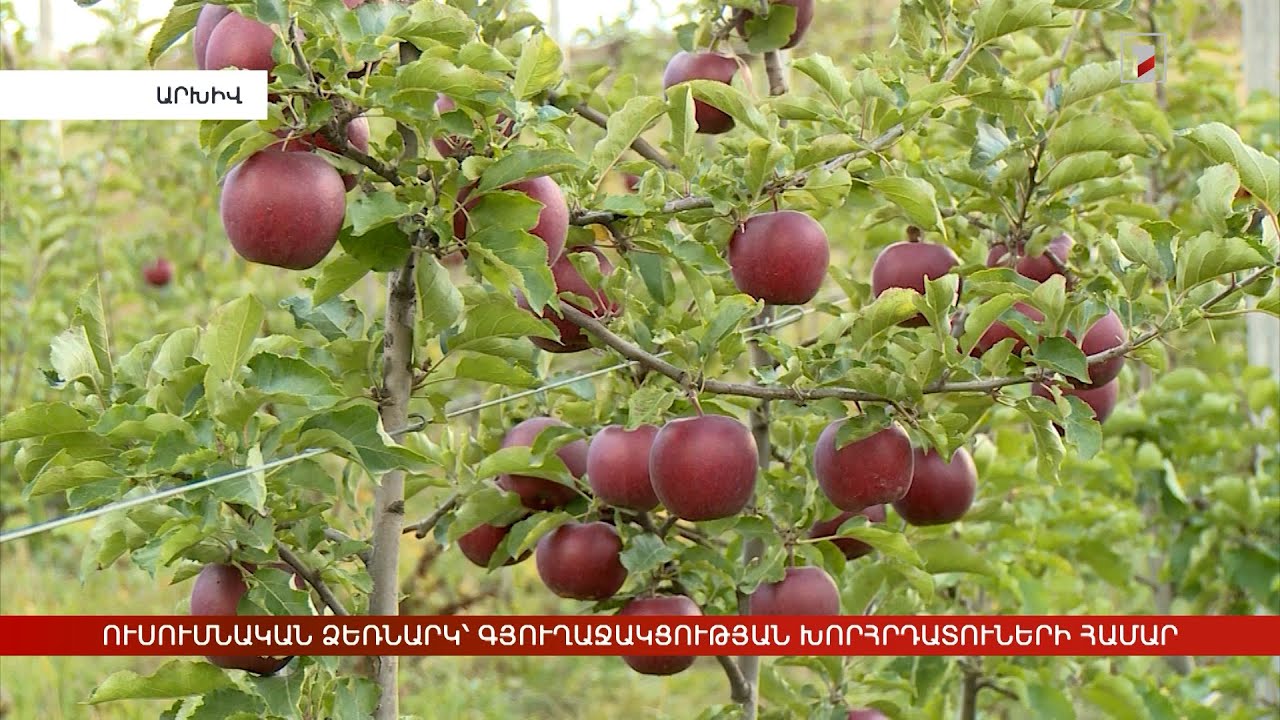 Ուսումնական ձեռնարկ՝ գյուղաջակցության խորհրդատուների համար