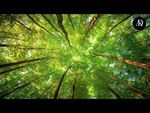 Adoka - Najważniejsze prod. Keyteepee