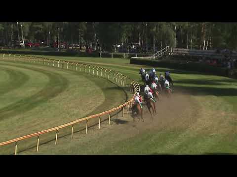 5. dostih - Cena společnosti Conseq - dostihy Lysá nad Labem 1. 8. 2020