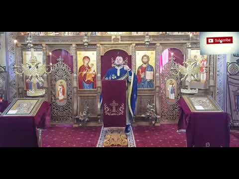 Părintele Dan Iluța-Credința vindecătoare-Dum. a XXIV-a după Rusalii ( Învierea fiicei lui Iair )