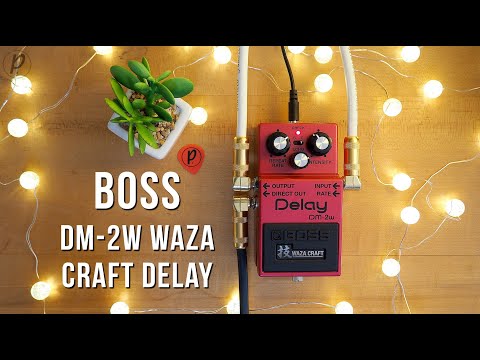 Педаль аналоговый Delay для электрогитары BOSS DM-2W DELAY - фото 1 - id-p2534553658