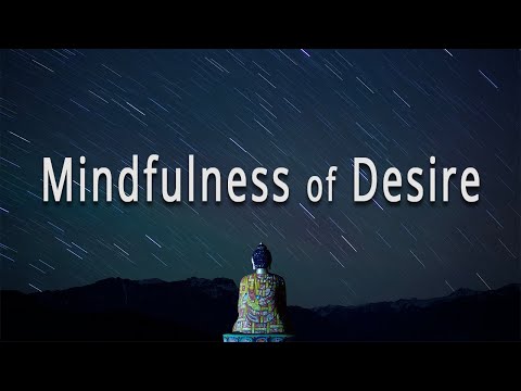 Mindfulness of Desire (#15 The Four Foundations of Mindfulness) by Joseph Goldstein