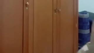 Download lagu Tik tok bagaikan langit di sore hari keren cuyy😁😁😁🤙🤙🤙 mp3 Download lagu Tik tok bagaikan langit di sore hari keren cuyy😁😁😁🤙🤙🤙 mp3