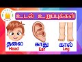 தமிழரசி மனித உடல் உறுப்புகள் Learn Body Parts Name