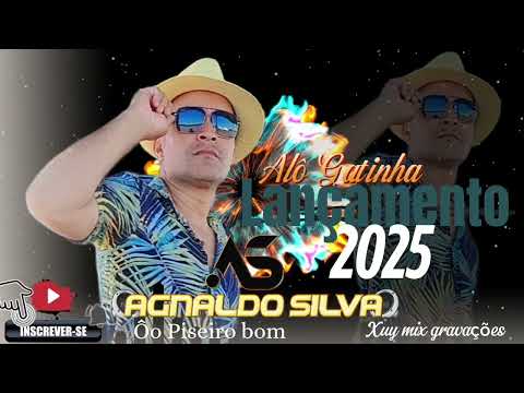 CD completo Agnaldo silva 2025