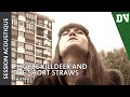 Phoebe Killdeer and The Short Straws - Twisted ...