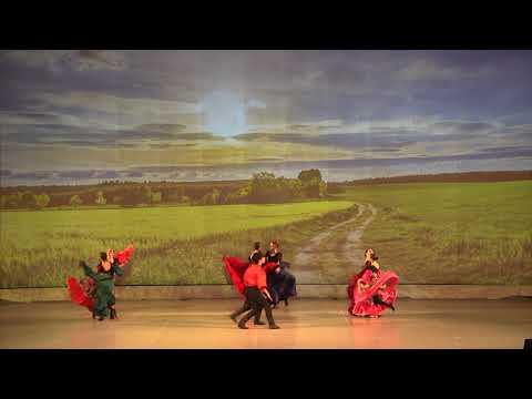 41 Ансамбль Надежда   Танец бессарабских цыган