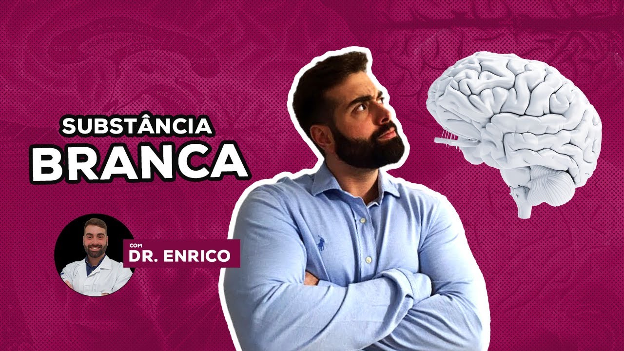 SUBSTÂNCIA BRANCA DO ENCÉFALO DE UM JEITO FÁCIL - NEUROANATO DE A A Z