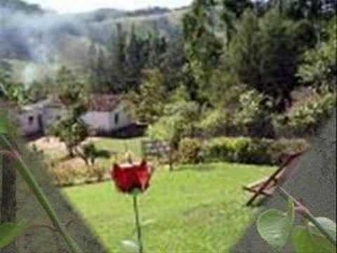 Silvio Britocasinha Silvio Brito