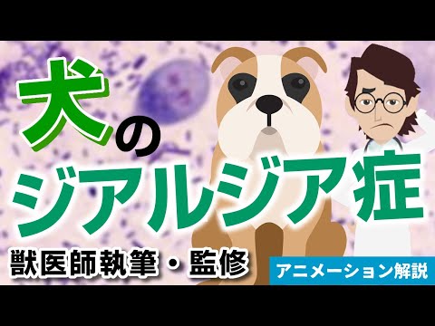 犬の糞便中のジアルジアを特定する方法
