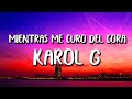 Karol G - Mientras Me Curo Del Cora (Letra/Lyrics)