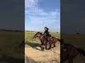 🐎 Horse Riding  #horseriding #ytshortsindia #youtubeshorts #ytshorts #equestrianlife #shortvideo
