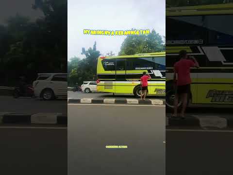 JOOOS PUNYA‼️ #busmania #buspariwisata #bispariwisata #basuri ##basuriviral #mania