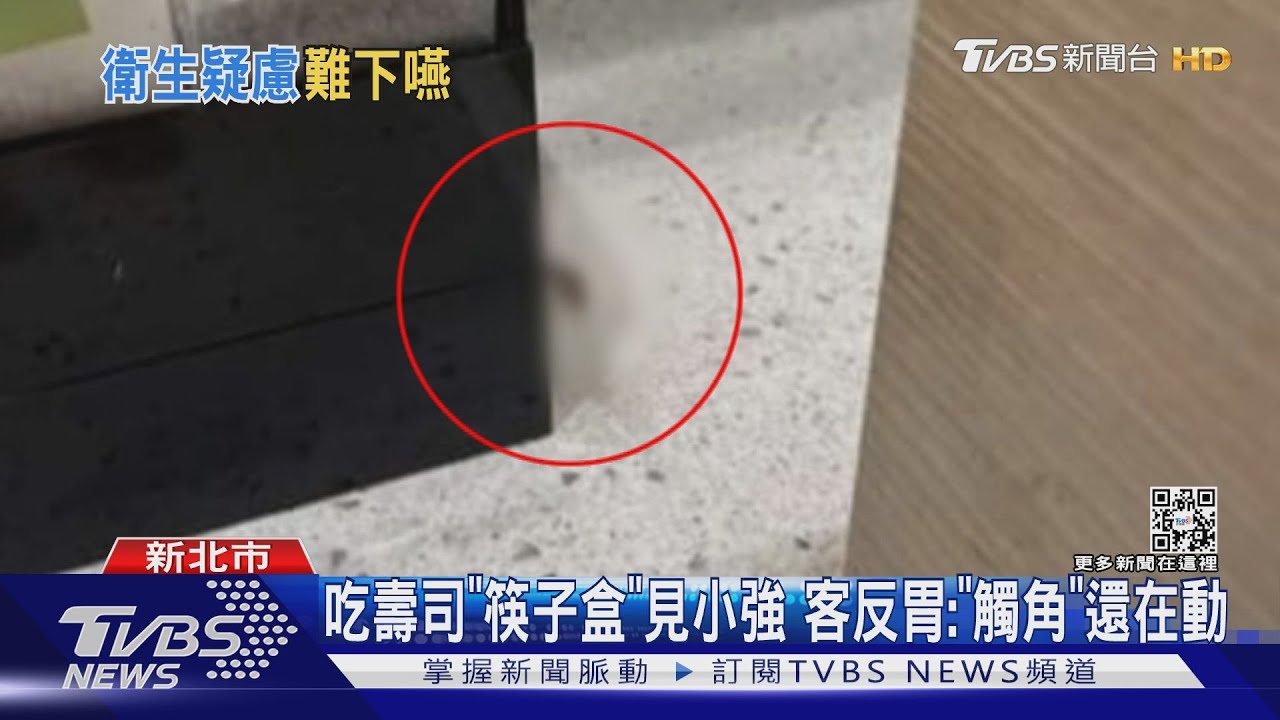 吃壽司「筷子盒」見小強 客反胃:「觸角」還在動