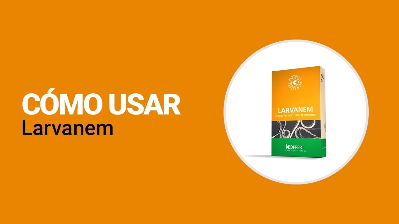 Video preview poster