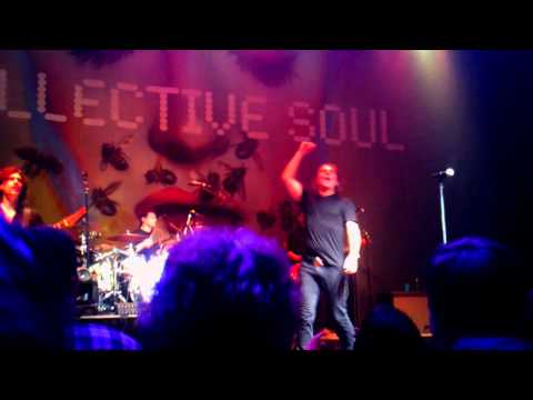 Collective Soul: Dosage Tour 2012 - Shine