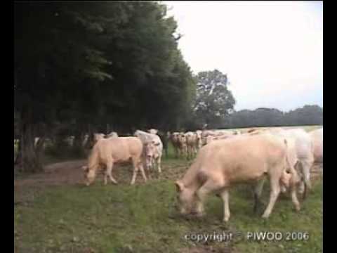Ferme Jean-Luc Gérard à Solre-le-Château