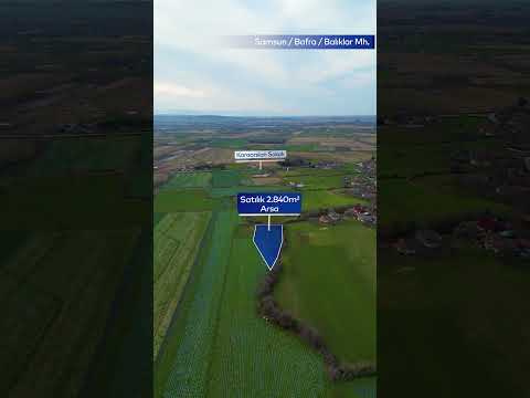 YouTube Shorts Önizleme