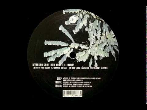 MYUNGHO CHOI ‎- Shakin' Bricks (How Long Till Dawn [A TOUCH OF CLASS])