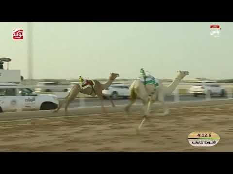 ش 5 (الدوحة) لـ محمد زايد بن حمد خميس المزروعي 5:54:09 , مهرجان ختامي الشحانية 2026/04/20 حقايق