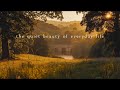 The Quiet Beauty Of Everyday Life Piano Playlist