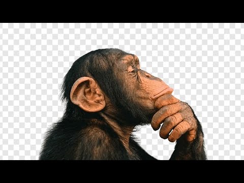 Lost in singularity [14?] ITG