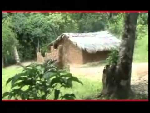 THEO BLAISE KOUNKOU  -  BIBELO