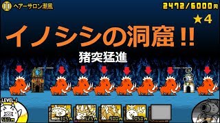 ヘアーサロン潮風 にゃんこ大戦争 こしぎんちゃくの浜辺 星３ 星２ أغاني Mp3 مجانا