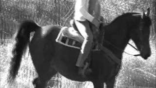 I had one, one time,