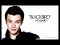 Chris Colfer - Blackbird (Acapella) 