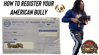 HOW TO REGISTER YOUR AMERICAN BULLY AND YOUR LITTER OF PUPPIES