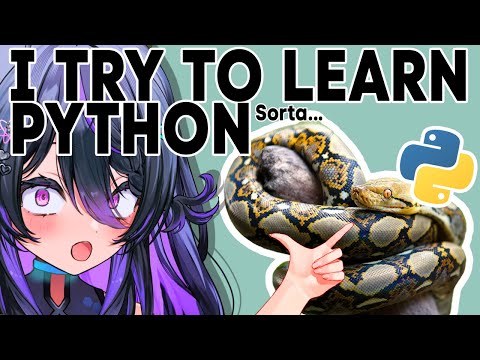 Vtuber learns programming…