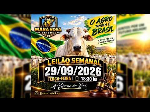 MARA ROSA LEILÕES - GOIÁS - LEILÃO DE GADO DE CORTE 29/09/2026