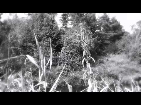 Lithuanian folk song - Rasa Serra - "Oi smūtnas liūdnas šili berželis"