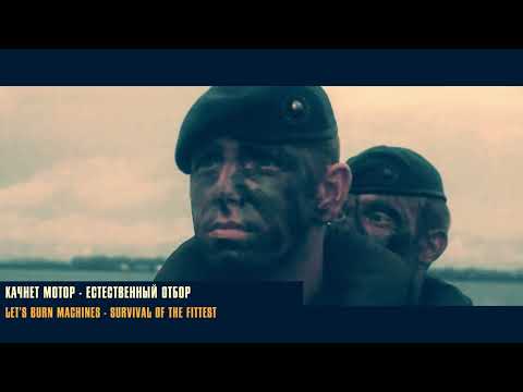 Miniatura de Естественный отбор (Natural selection)
