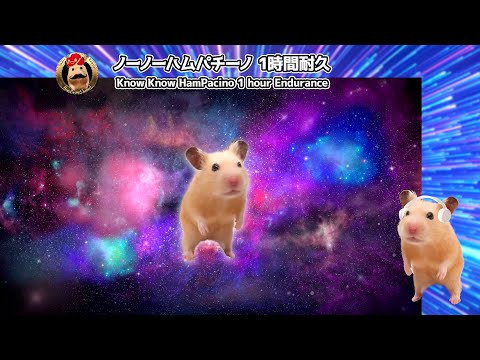 "Know Know HamPacino" 1 hour Endurance - ノノパチ 1時間耐久動画（OIIA OIIA Parody）