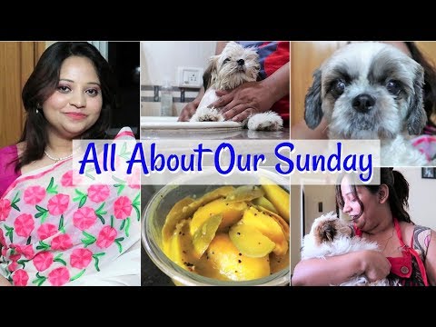 Different Shades of My Puppy | Breakfast To Evening Makeup Routine Vlog | Funniest Puppy Action