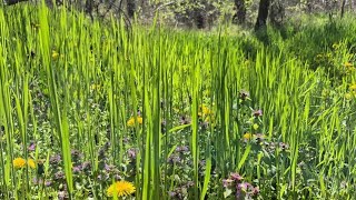 Запорожье УСЛЫШТЕ ИХ СКОЛЬКО 15.04.2026