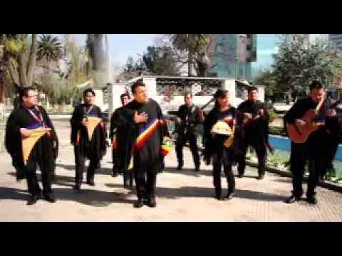 LAGRIMAS DE DOLOR - GRUPO SEMILLA